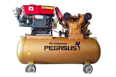 Máy nén khí chạy dầu Pegasus TM-W-1.0/8-330L