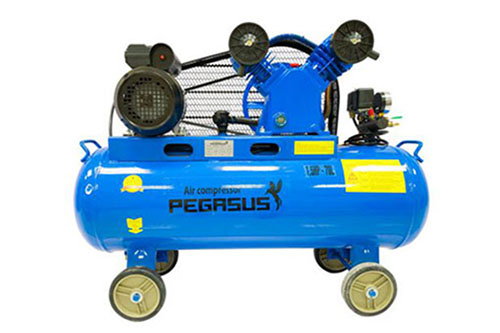 Máy nén khí piston Pegasus TM-V-0.12/8-70L