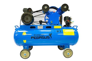 Máy nén khí piston Pegasus TM-V-0.12/8-70L