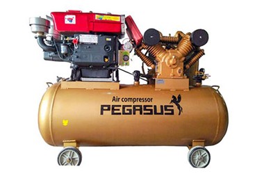 Máy nén khí chạy dầu Pegasus TM-V-1.05/12.5 - 500L